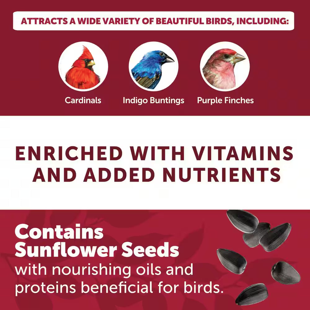 Premium 10 Lb. Black Oil Sunflower Bird Seed Food