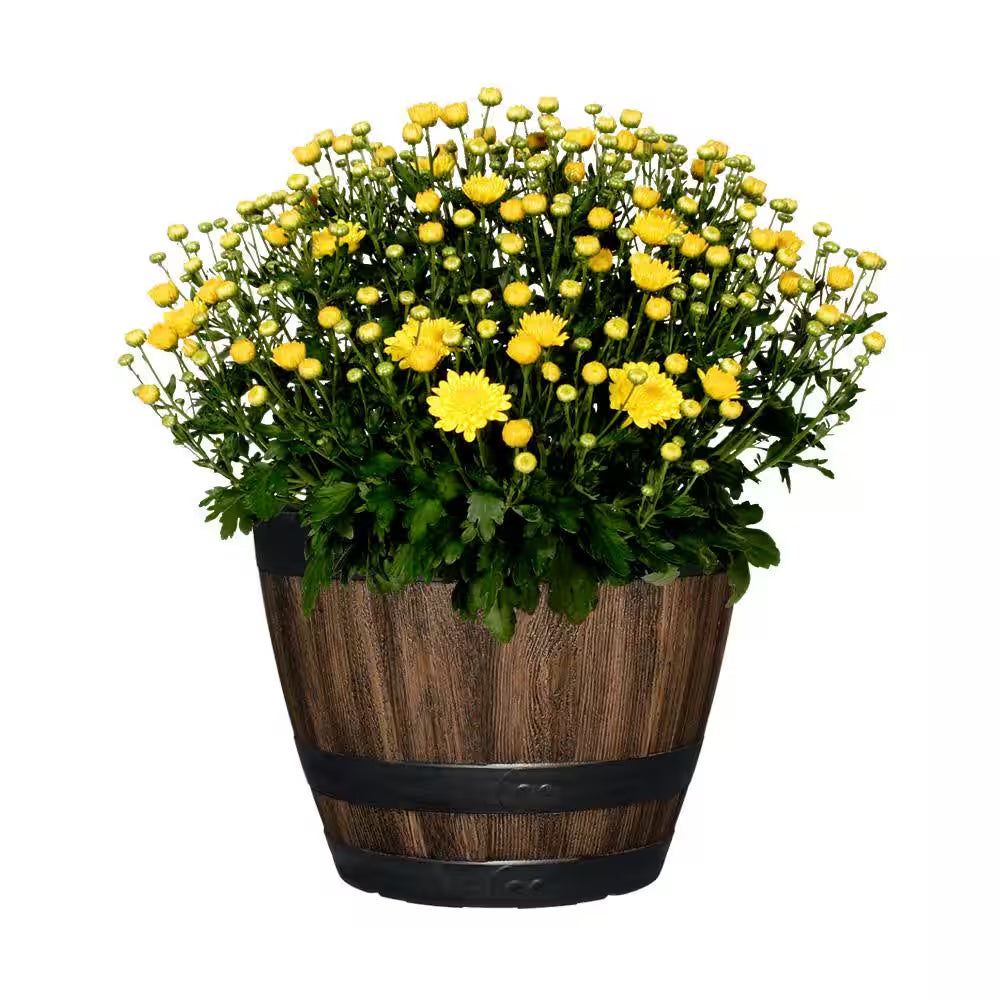 Reedley Medium Kentucky Walnut Brown Resin Wine Barrel Lightweight round Planter (12.8 In. L X 12.8 In. W X 10.5 In. H)