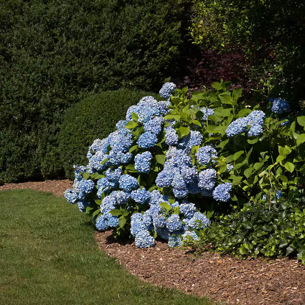 4 Ft. X 200 Ft. Heavy-Duty Grid Landscape Fabric
