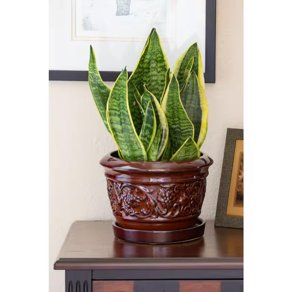 8 In. Dia Brown Rustic Damask Ceramic Planter