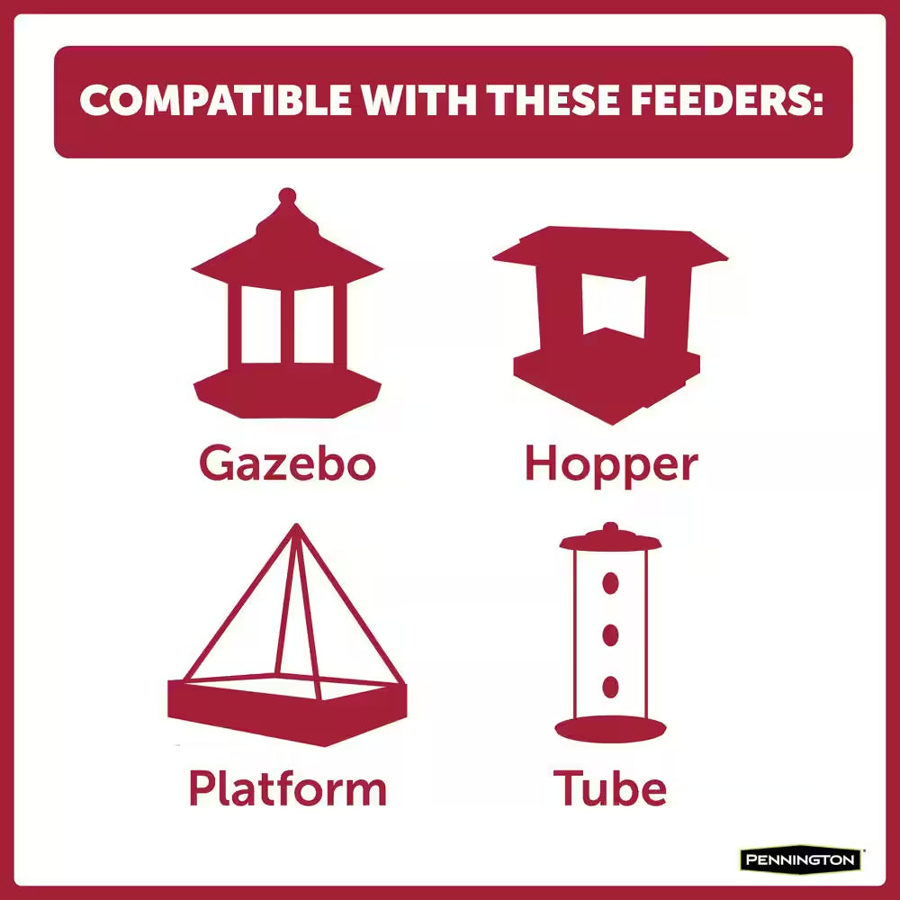 Premium 10 Lb. Black Oil Sunflower Bird Seed Food