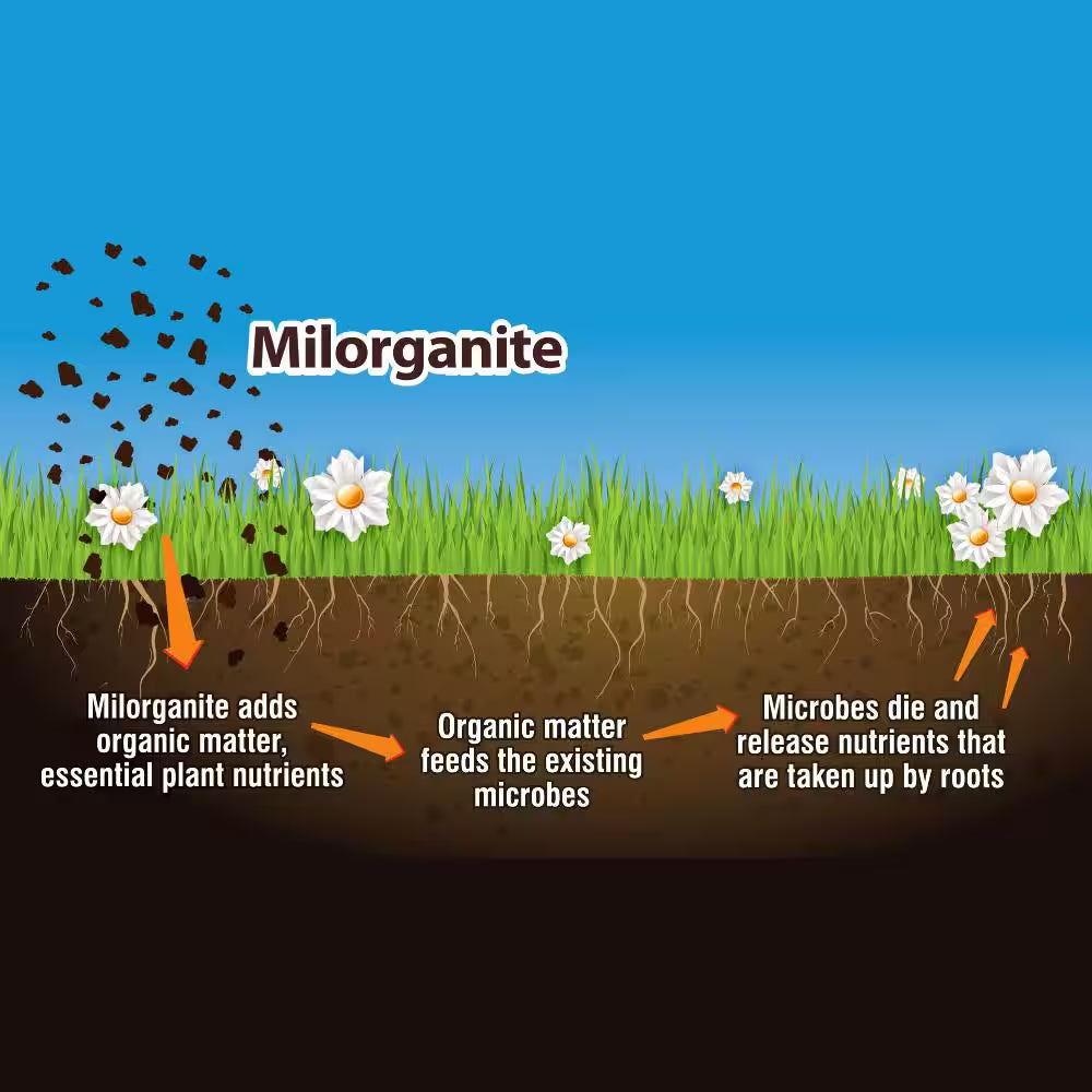 32 Lb. 2,500 Sq. Ft. Organic Slow-Release Nitrogen Lawn and Garden Dry Lawn Fertilizer 6-4-0