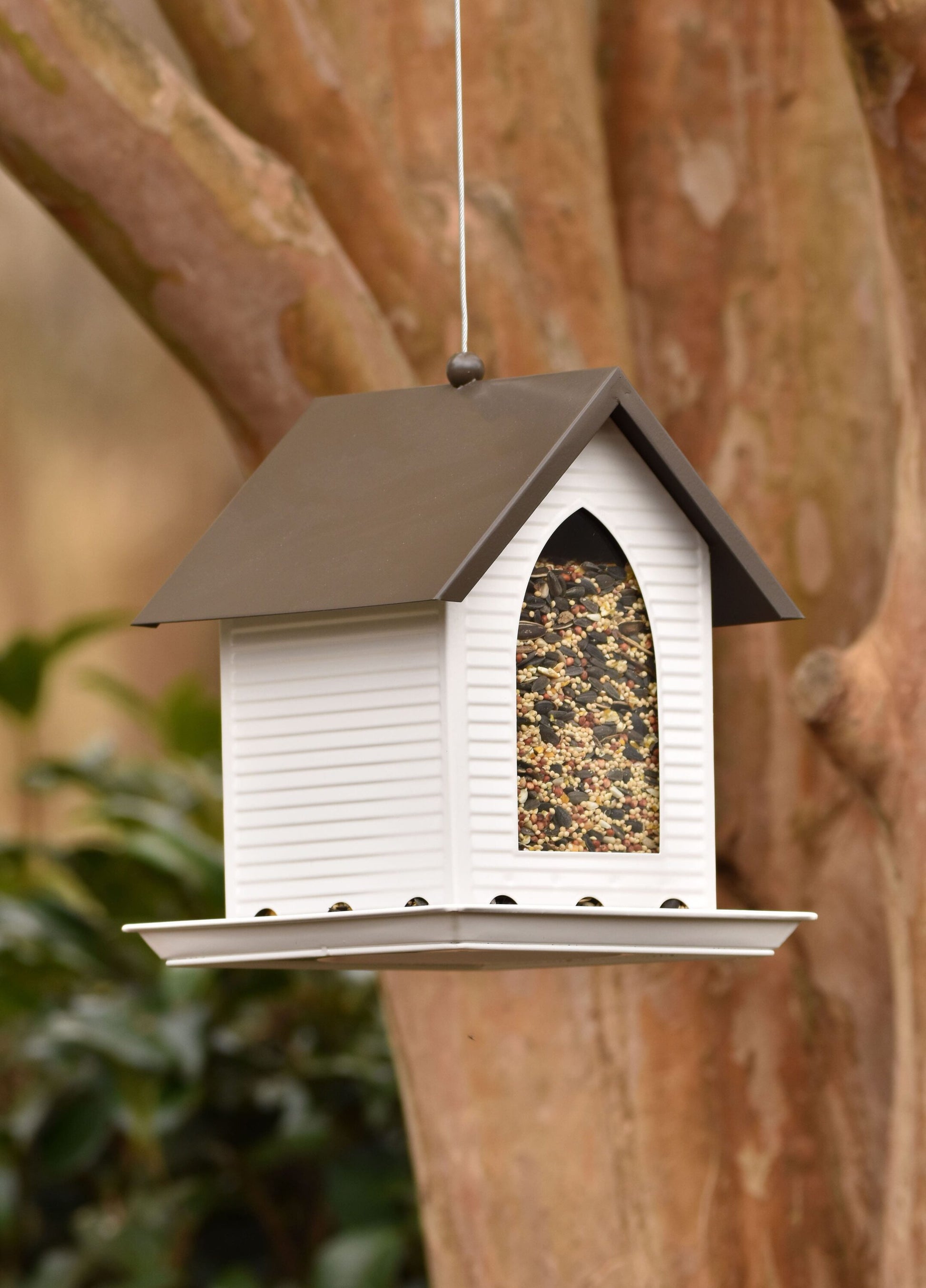 Steel Hanging Hopper Bird Feeder - 5-Lb