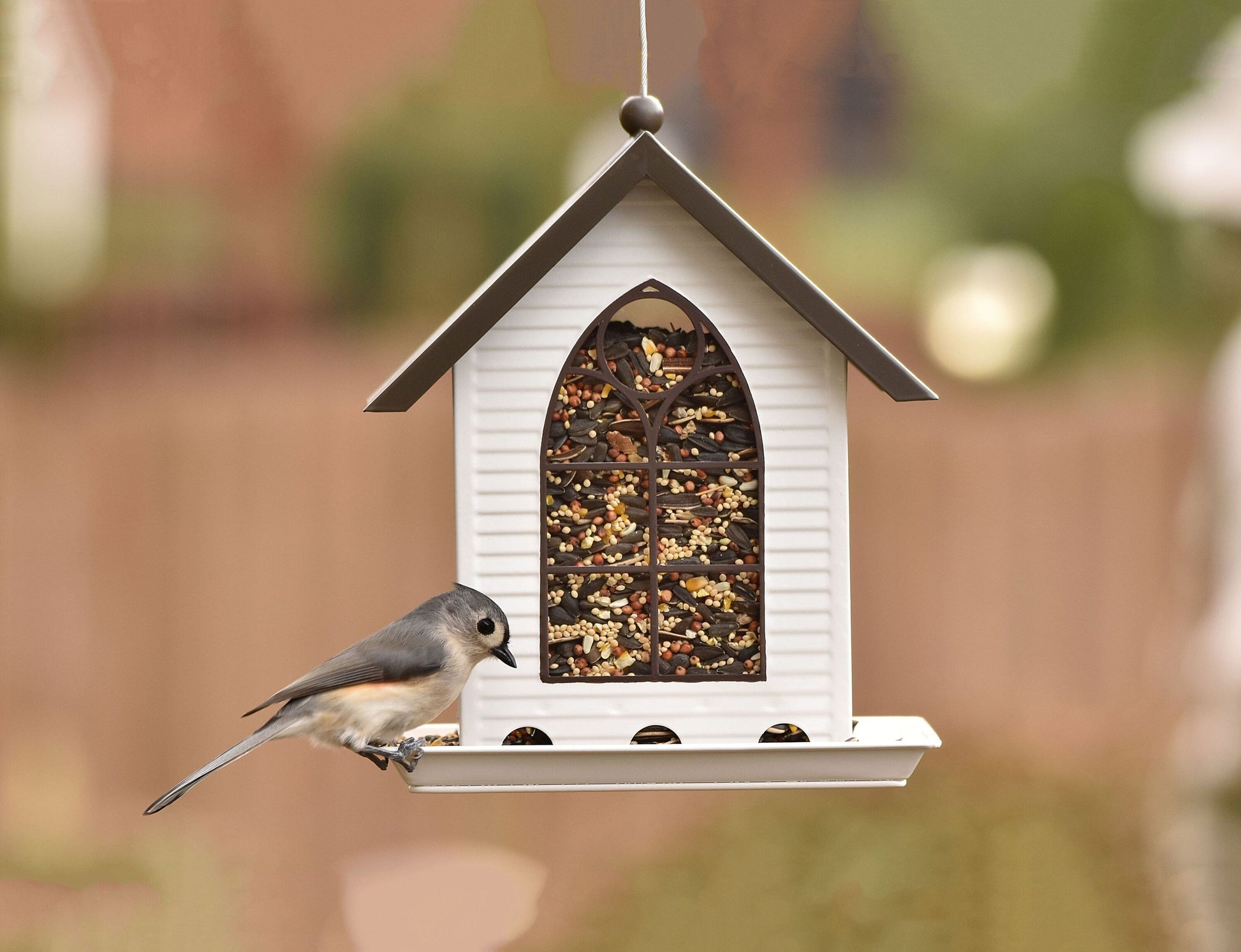 Steel Hanging Hopper Bird Feeder - 5-Lb