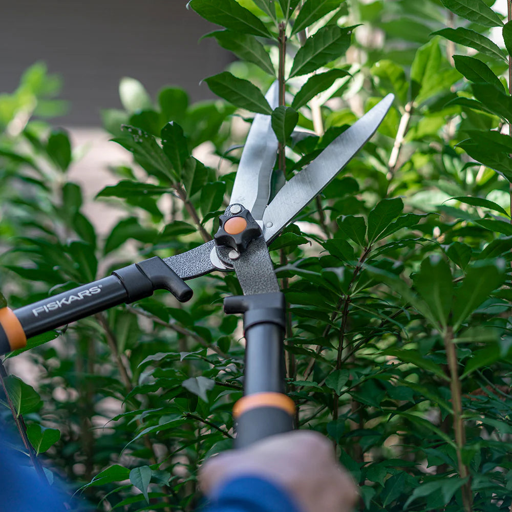 8-In Standard Hedge Shears