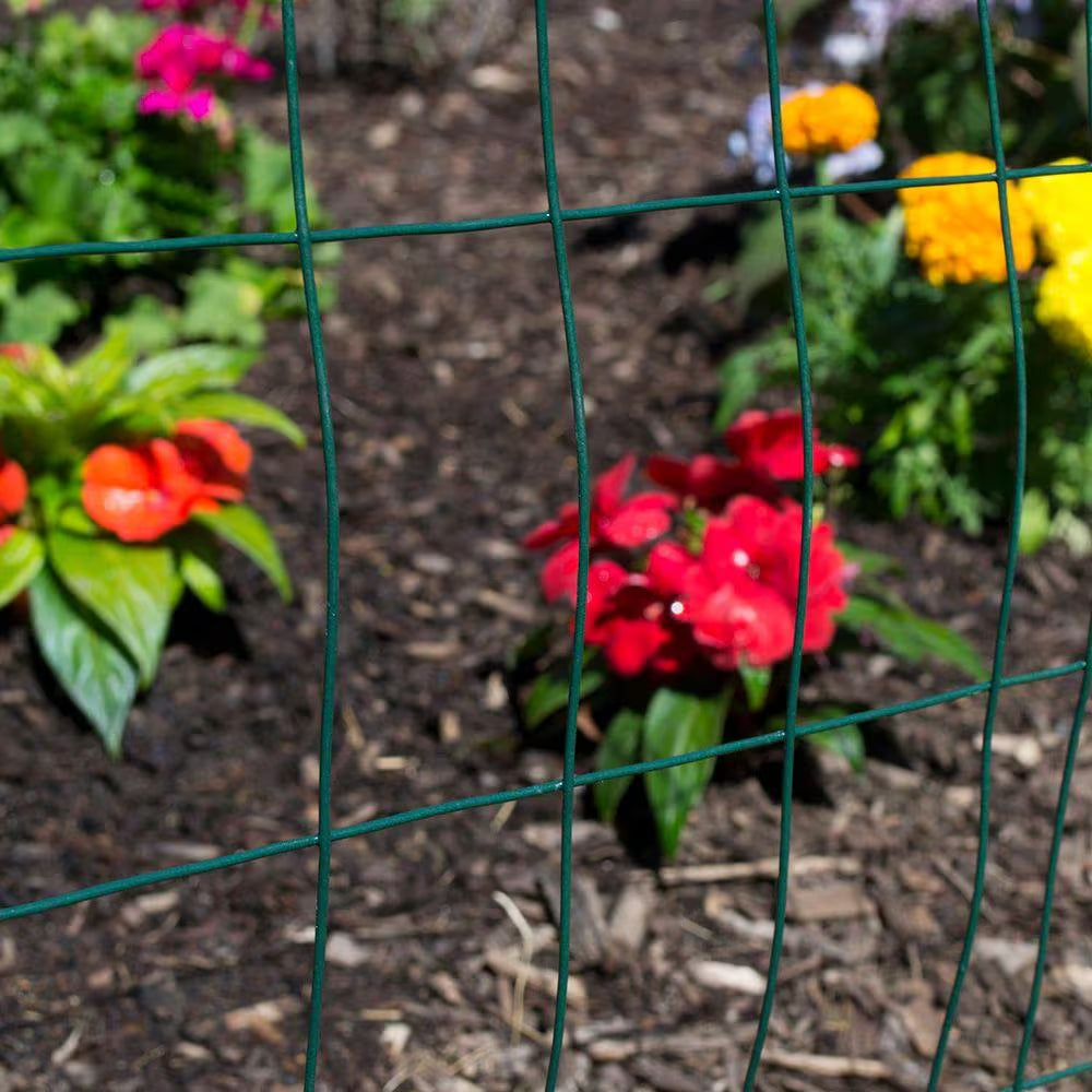 5 Ft. X 50 Ft. 16-Gauge Galvanized Steel Vinyl Welded Wire