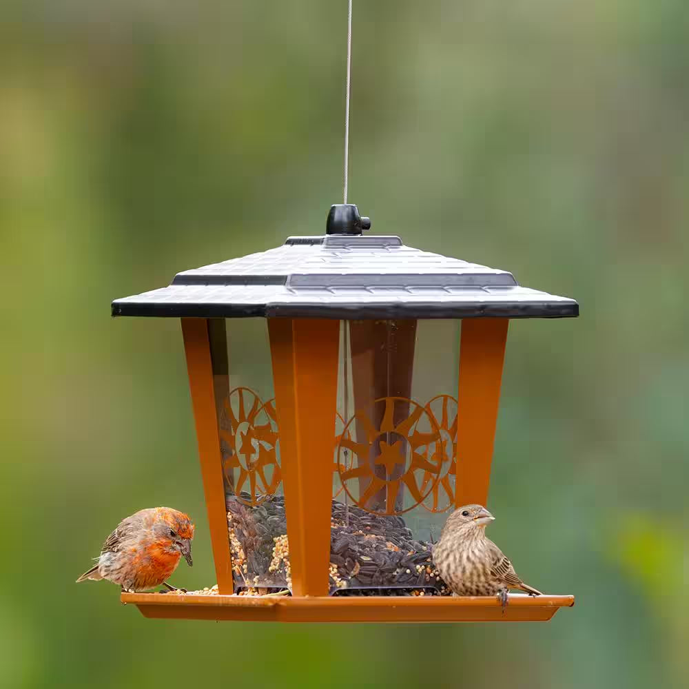 Sun and Star Lantern Rust-Resistant Durable Easy-To-Fill Hanging Bird Feeder - 3.5 Lb. Capacity
