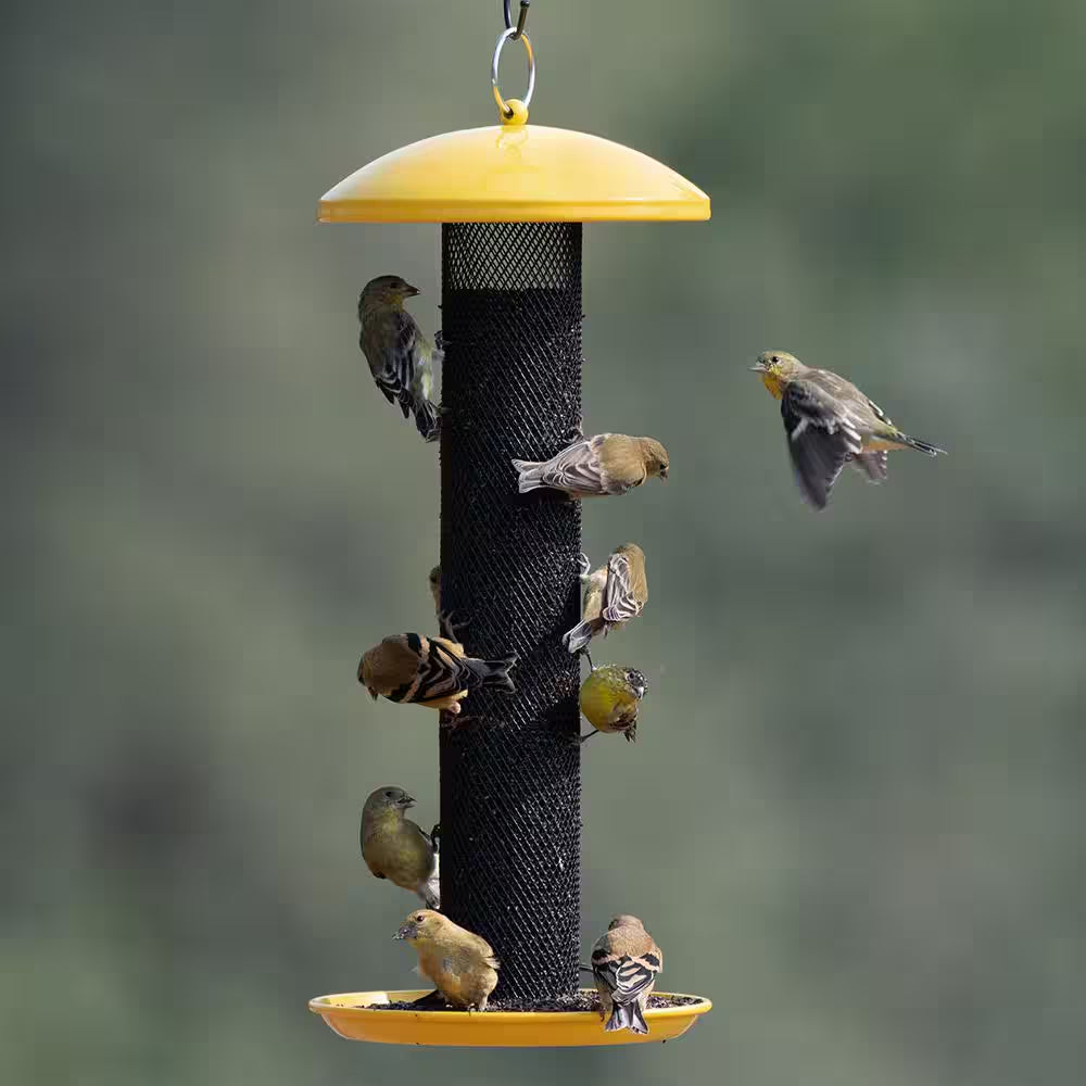Straight Sided Yellow Metal Hanging Seed Feeder for Finch Bird-1.5 Lb. Capacity