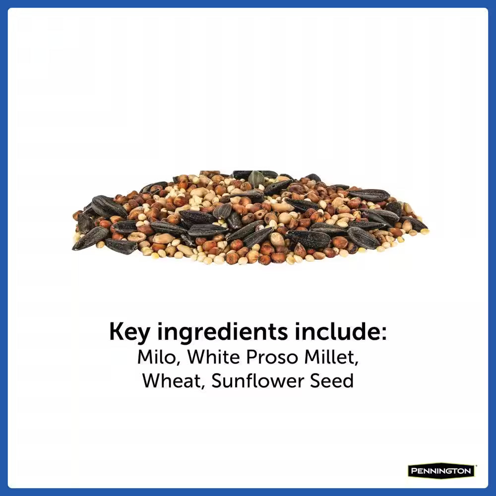 40 Lb. Wild Bird Seed Food