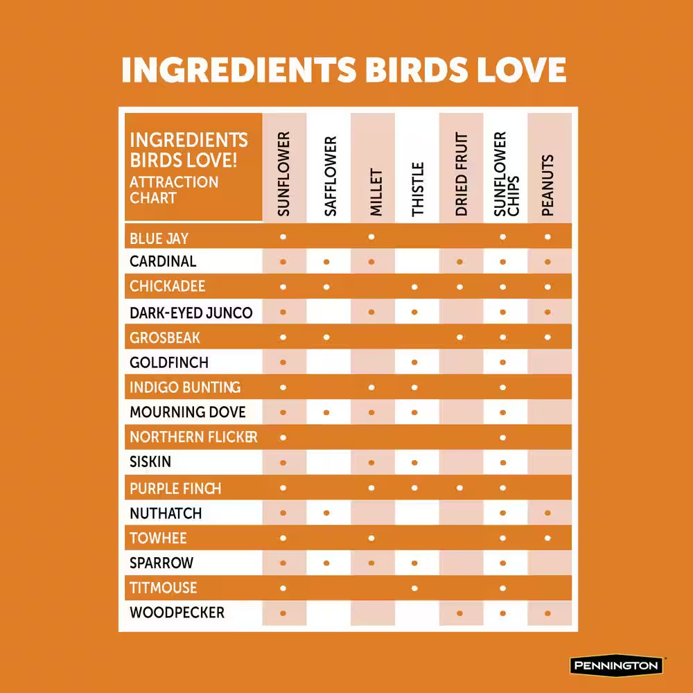 Premium 10 Lb. Wild Finch Bird Seed Food