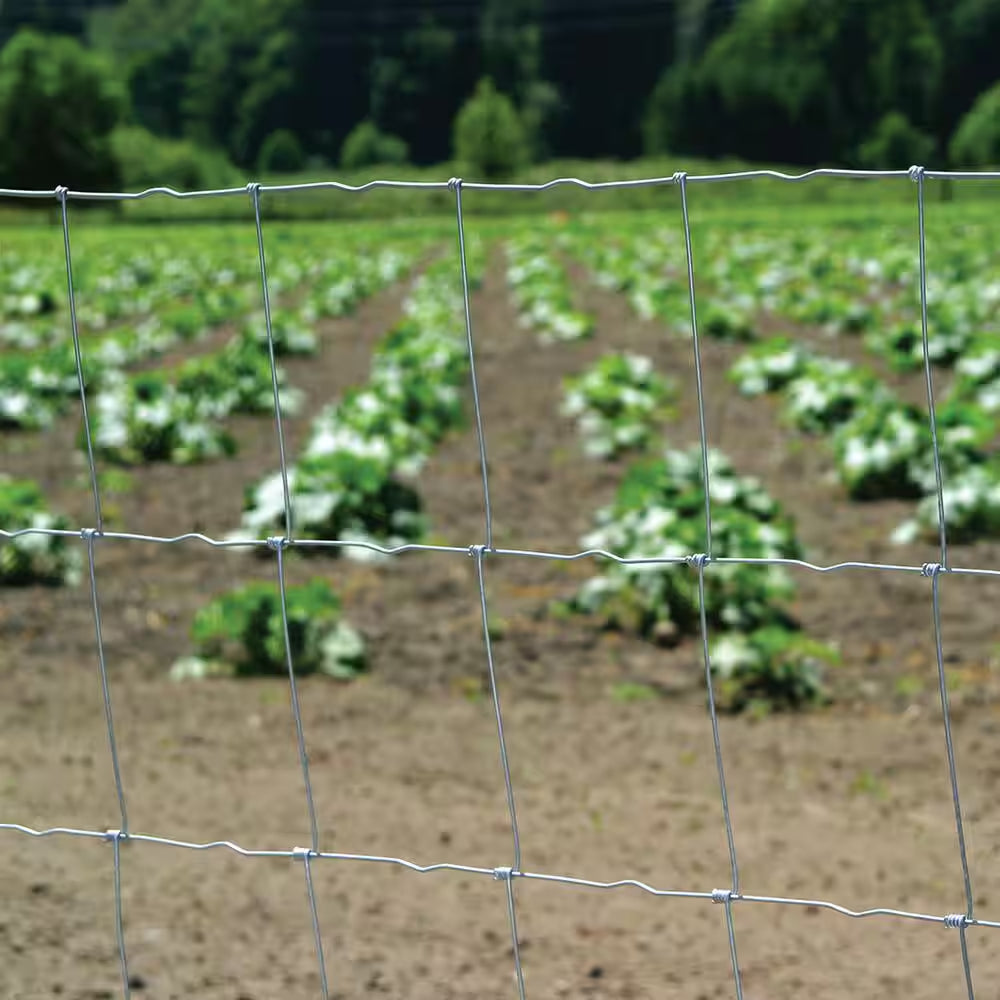 3 Ft. 3 In. X 132 Ft. Galvanized Steel Field Fence