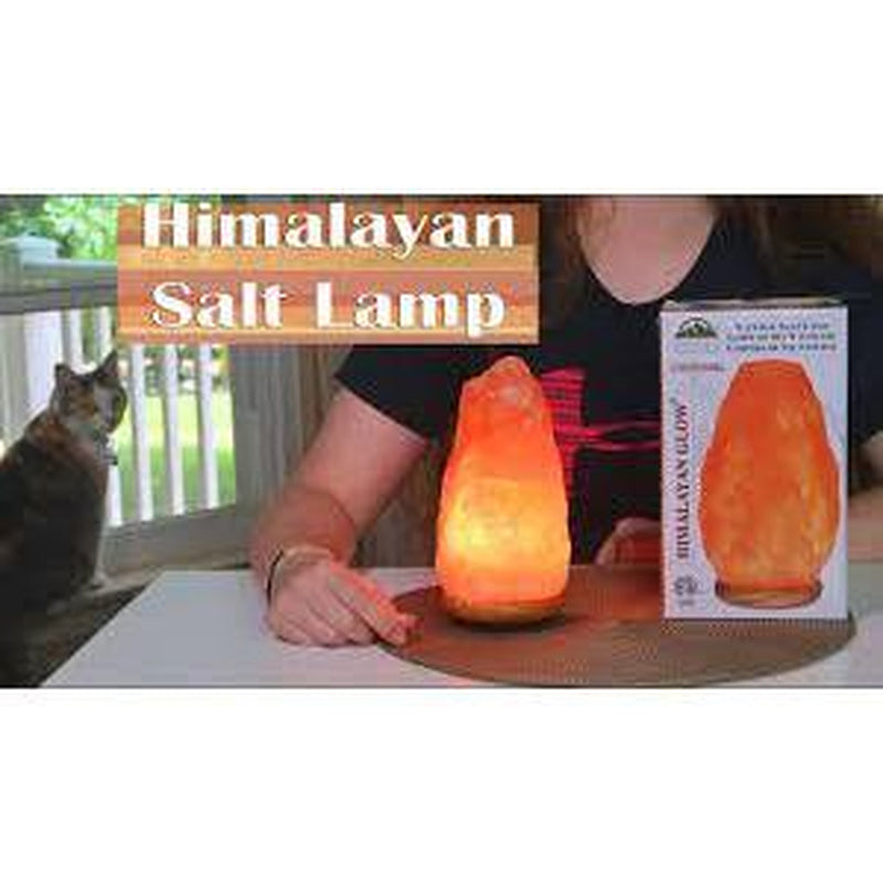 Himalayan Salt Lamp, 10 In. Tall, Night Light Table Lamp, with Dimmer Switch, 4 Lbs. to 6 Lbs.