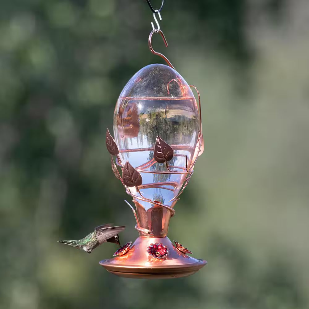 Looking Glass Hummingbird Feeder - 32 Oz. Capacity