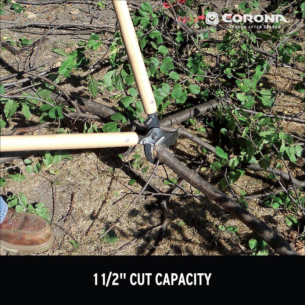 3.5 In. Forged Steel Blade with Durable Hardwood Handles Bypass Lopper