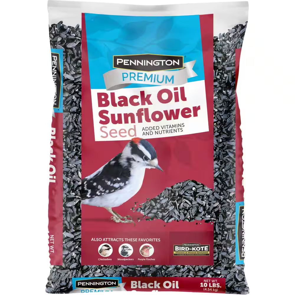 Premium 10 Lb. Black Oil Sunflower Bird Seed Food