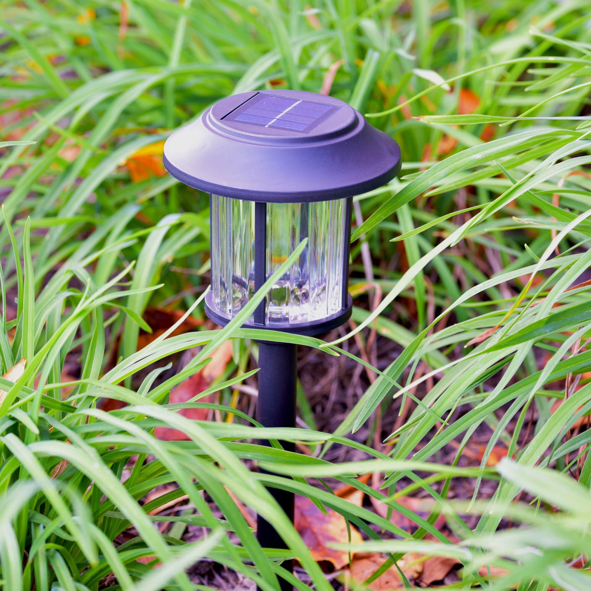 6 -Pack 10 -Lumens Matte Black Solar LED Outdoor Path Light Kit with Dusk-To-Dawn Sensor 3000-K