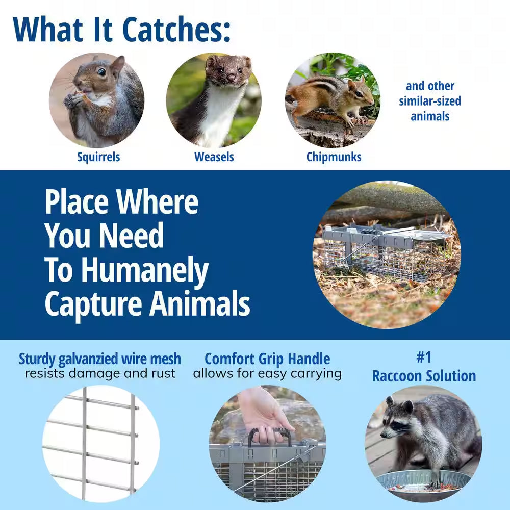 Small 1-Door Humane Catch-And-Release Live Animal Cage Trap for Squirrel, Weasel, Chipmunk