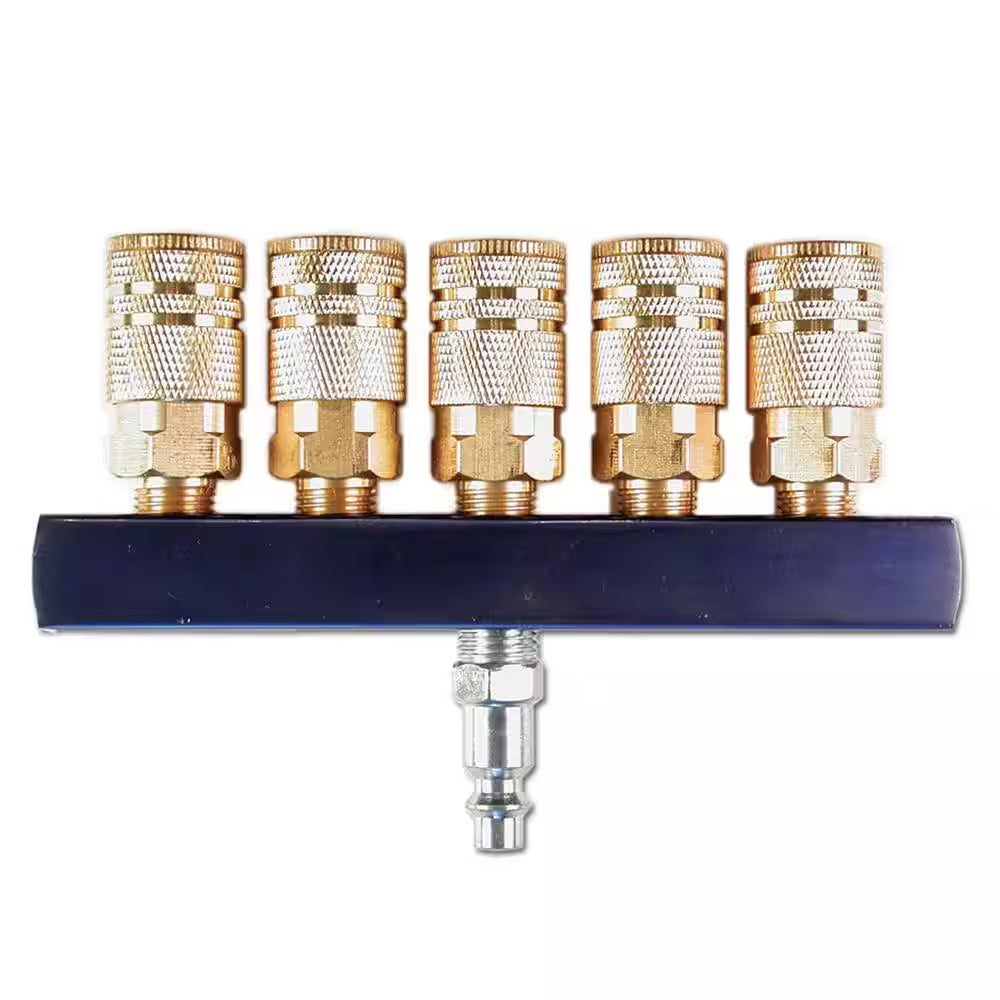 1/4 In. 5-Way Air Manifold with Brass Couplers
