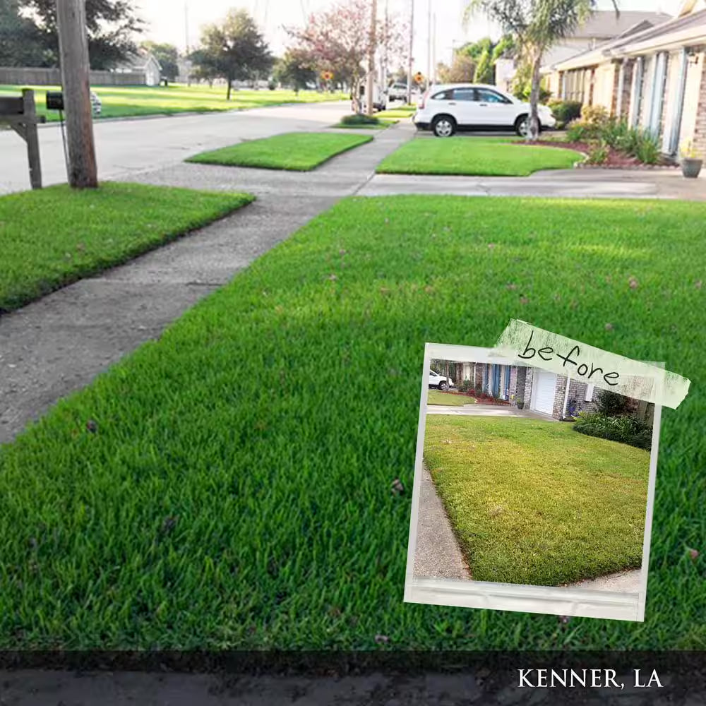 32 Lb. 2,500 Sq. Ft. Organic Slow-Release Nitrogen Lawn and Garden Dry Lawn Fertilizer 6-4-0