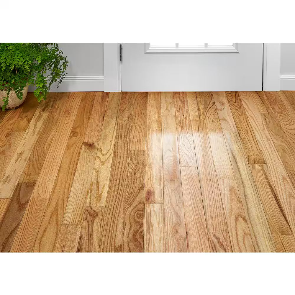 Plano Country Natural Oak 3/4 In. T X 3-1/4 In. W Smooth Solid Hardwood Flooring (22 Sq.Ft./Ctn)