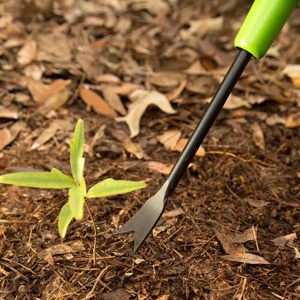 36 In. Wood Handle Forged Dandelion Weeder