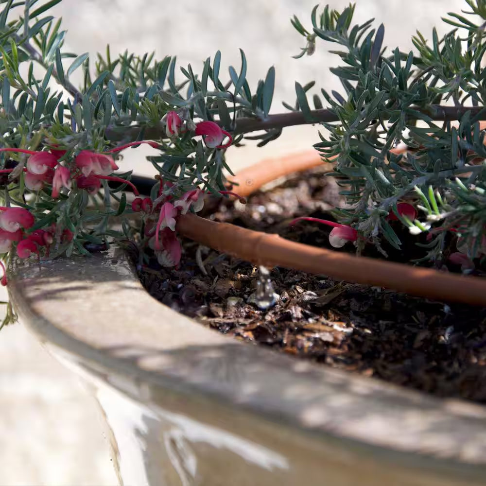 1/4 In. Emitter Tubing 100 Ft. W/6 In. Spacing in Brown