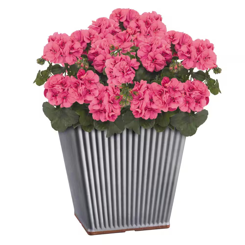 Spokane Medium Galvanized Resin Square Planter with Copper Rim (14 In. L X 14 In. W X 14 In. H)