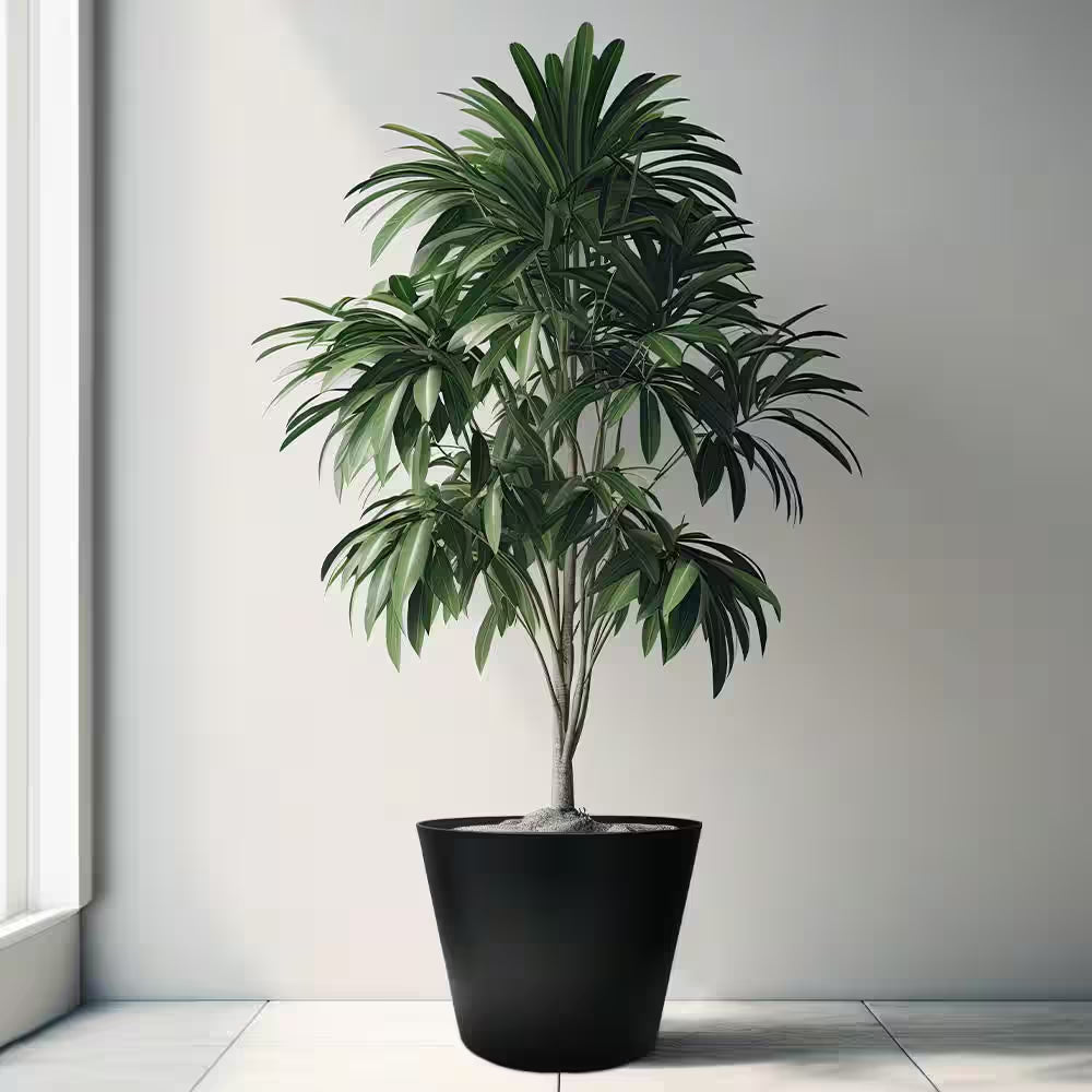 Kyra Large Black Plastic round Planter with Attached Saucer (20 In. L X 20 In. W X 17.32 In. H)