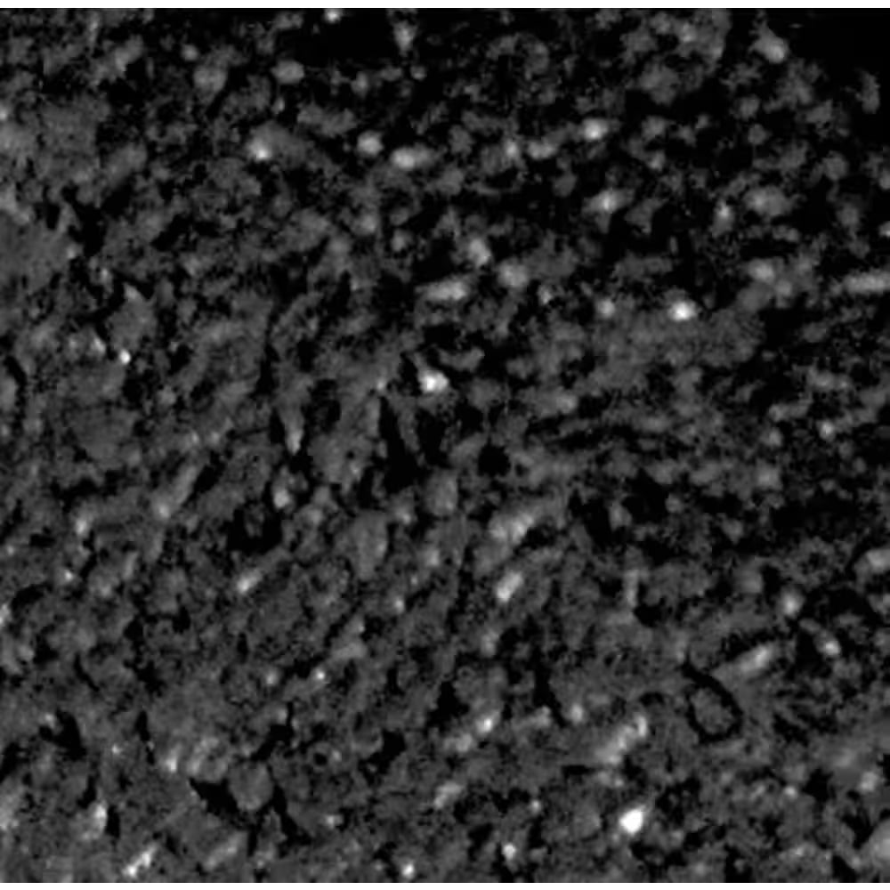 Ecoborder 4 Ft. Black Rubber Landscape Edging (6-Pack)