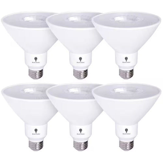 170-Watt Equivalent PAR38 Bright White (3000K) Flood Indoor/Outdoor LED Light Bulb (6-Pack)