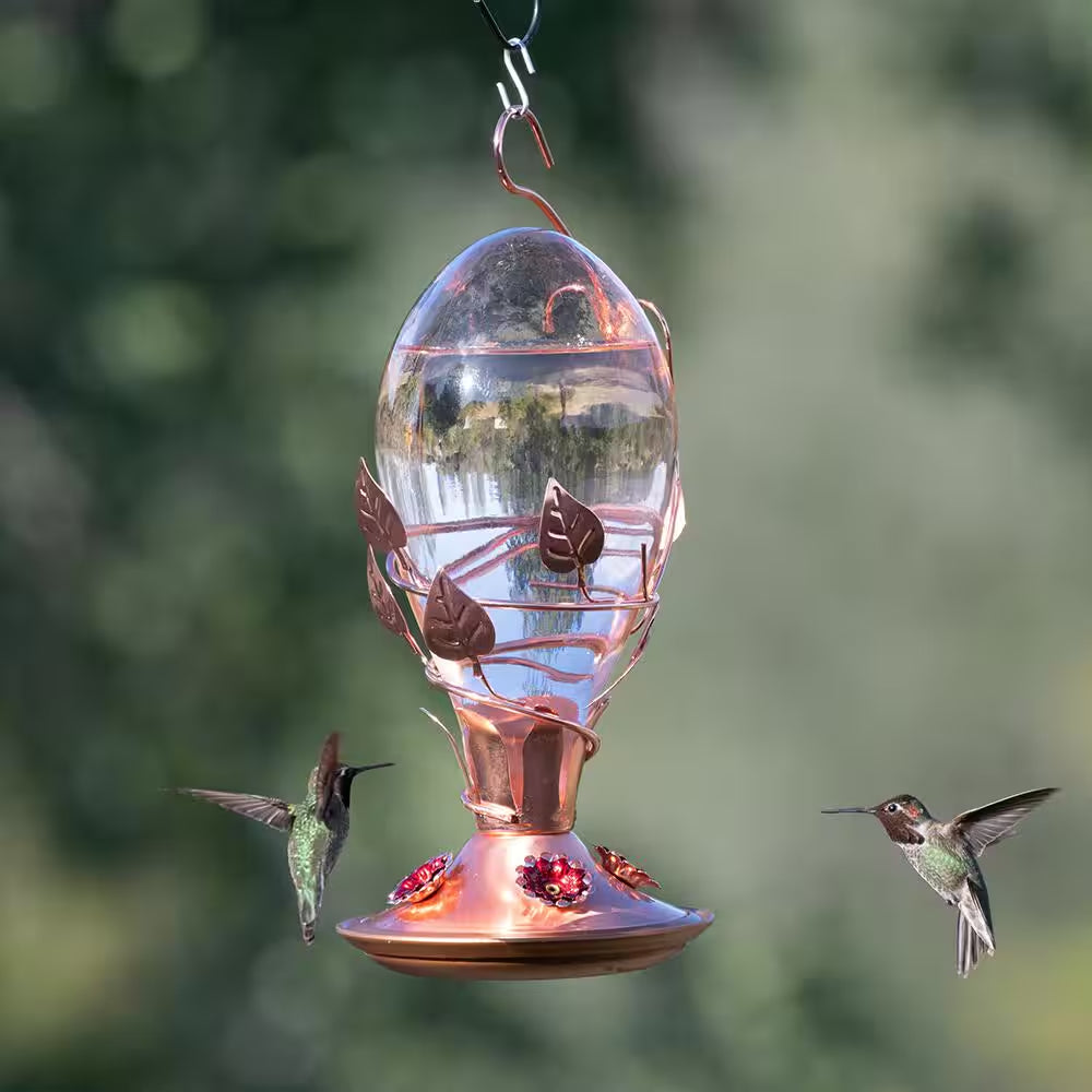 Looking Glass Hummingbird Feeder - 32 Oz. Capacity