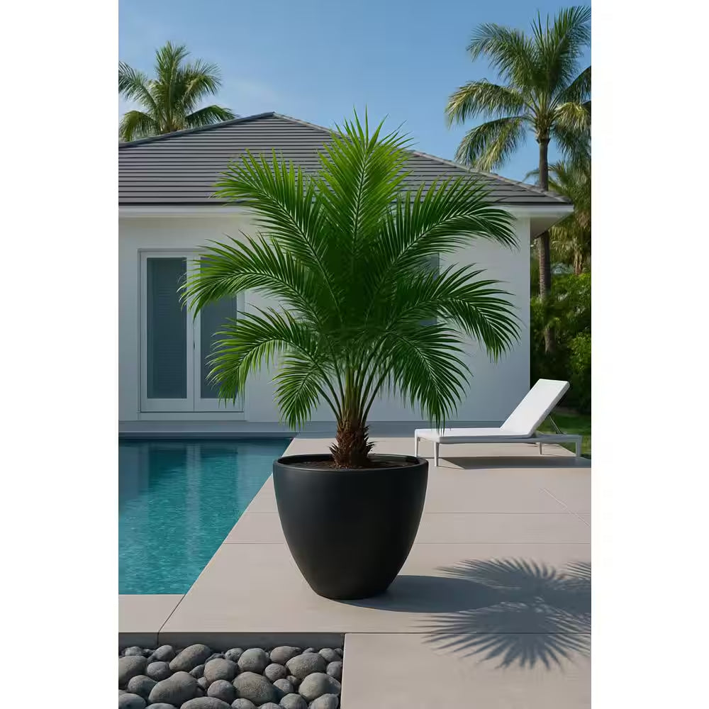 27 In. X 21 In. Charcoal Verona Bowl Plastic Planter