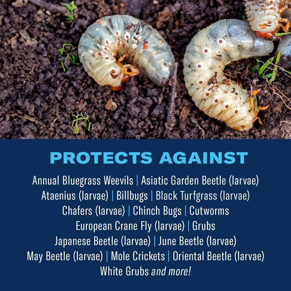 12 Lbs. Season Long Grub Killer Revitalize Granules