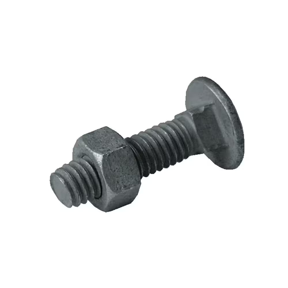 5/16 In. X 1-1/4 In. Galvanized Steel Carriage Bolt (20-Pack)