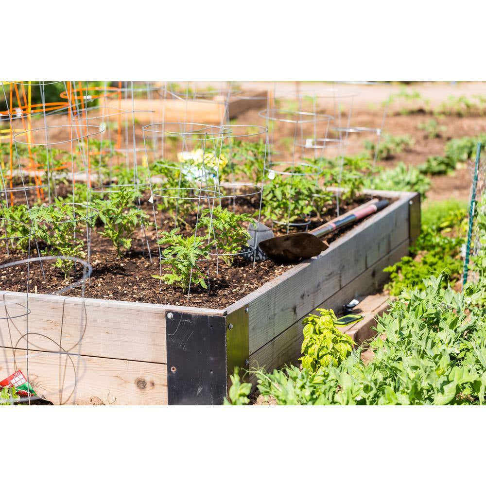 Glamos Wire 33 In. Plant Support (10-Pack)