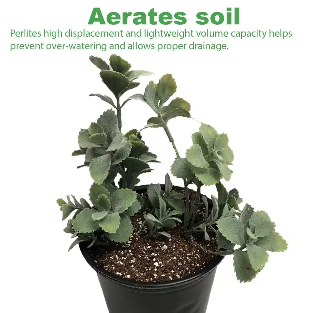 1 Cu. Ft./29.9 Qt. Organic White Perlite Planting Soil Additive and Growing Medium (2-Pack)