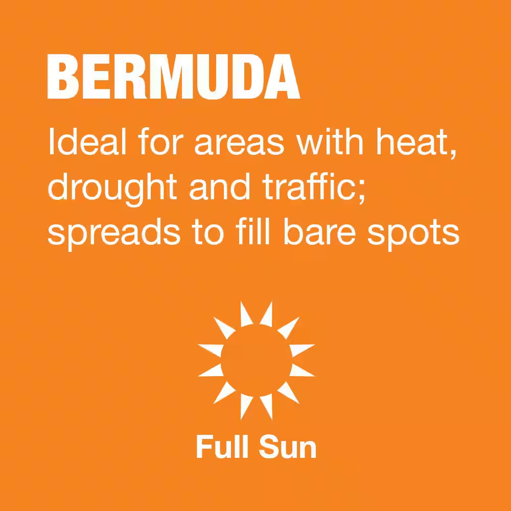 10 Lbs. Bermuda Grass Seed Blend with Water Saver Seed Coating