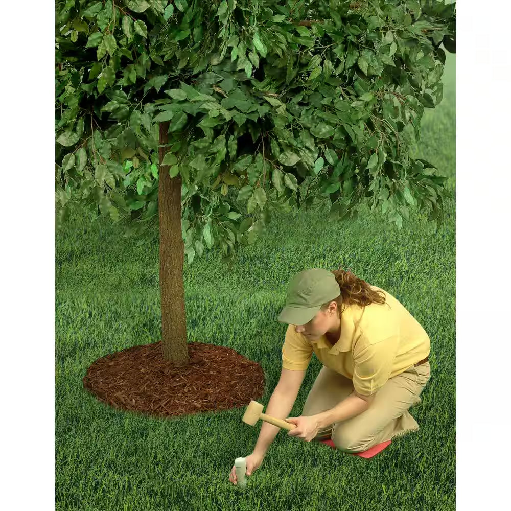 1.76 Lb. Organics Fruit and Citrus Fertilizer Spikes with Biozome, OMRI Listed (8-Pack)