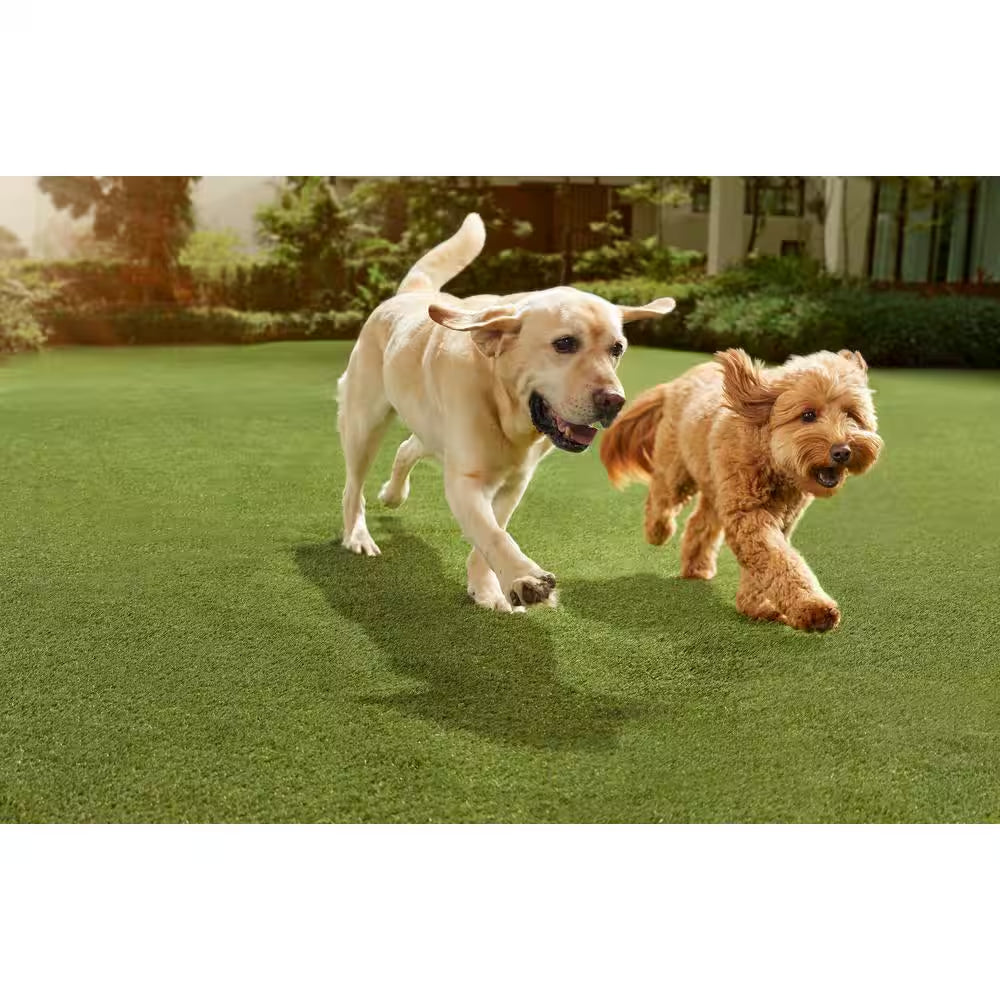 Premium Pet Turf 3.75 Ft. X 9 Ft. Green Artificial Grass Rug