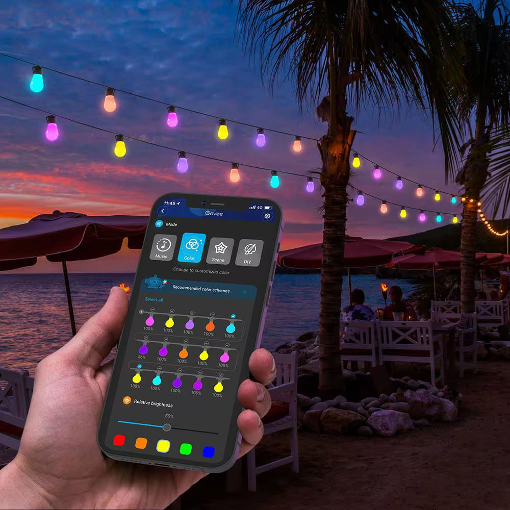 Lynx Dream 48 Ft. Outdoor Plug-In LED Input Smart Edison Bulb Wi-Fi Enabled String Light (15-Bulbs)