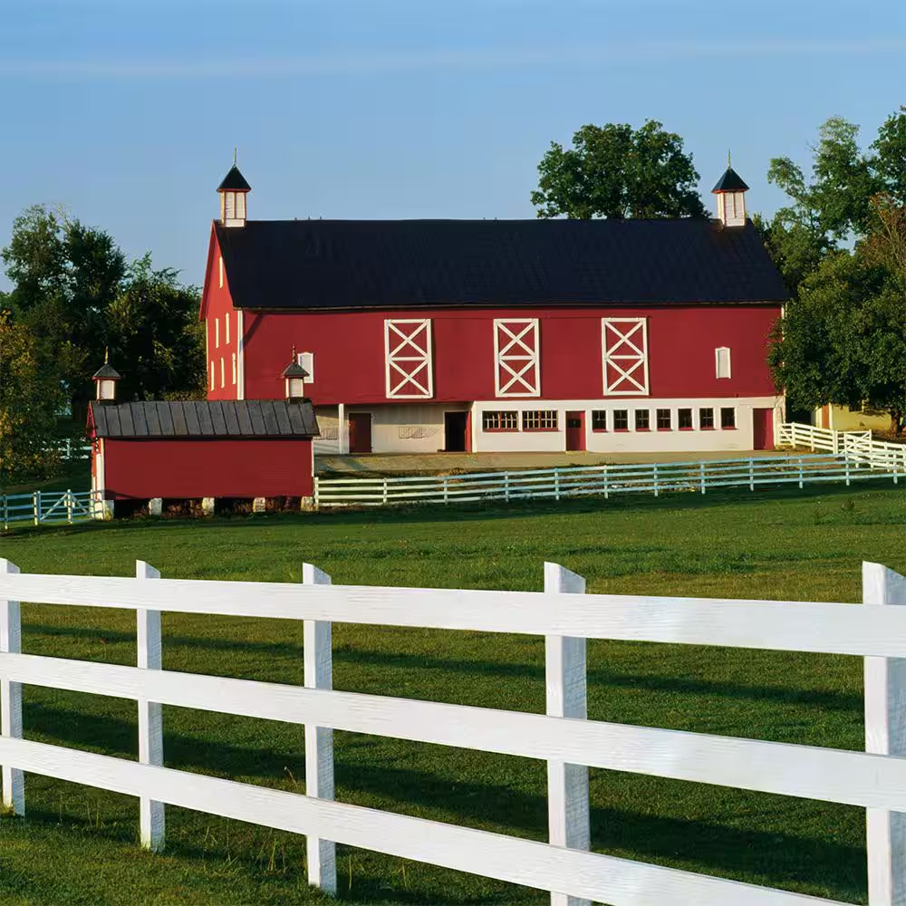1 Gal. White Exterior Barn and Fence Paint