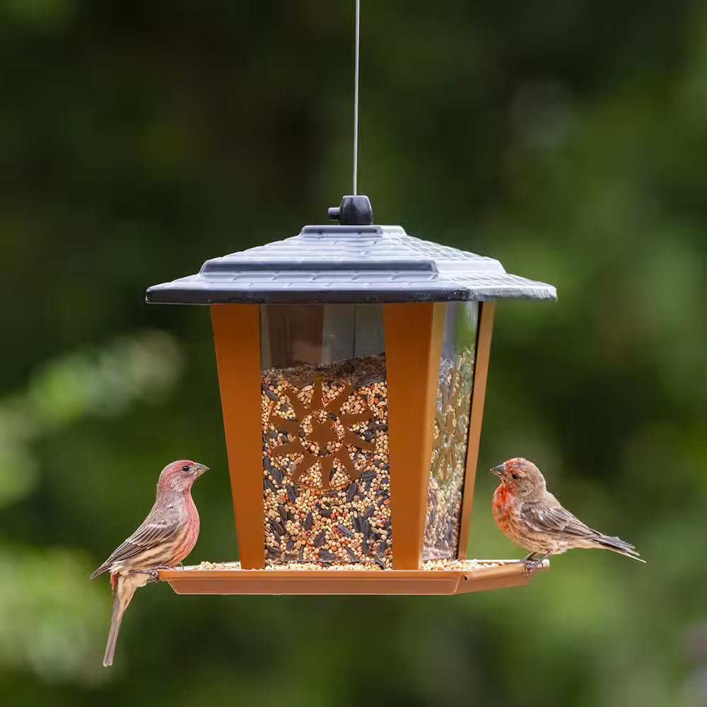 Sun and Star Lantern Rust-Resistant Durable Easy-To-Fill Hanging Bird Feeder - 3.5 Lb. Capacity