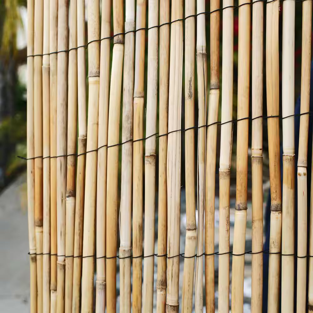 6 Ft. H X 16 Ft. L Natural Jumbo Reed Bamboo Fencing