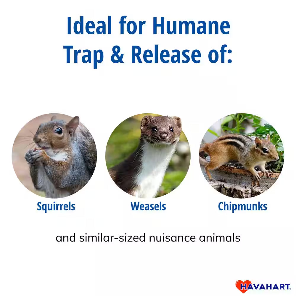 Small 1-Door Humane Catch-And-Release Live Animal Cage Trap for Squirrel, Weasel, Chipmunk