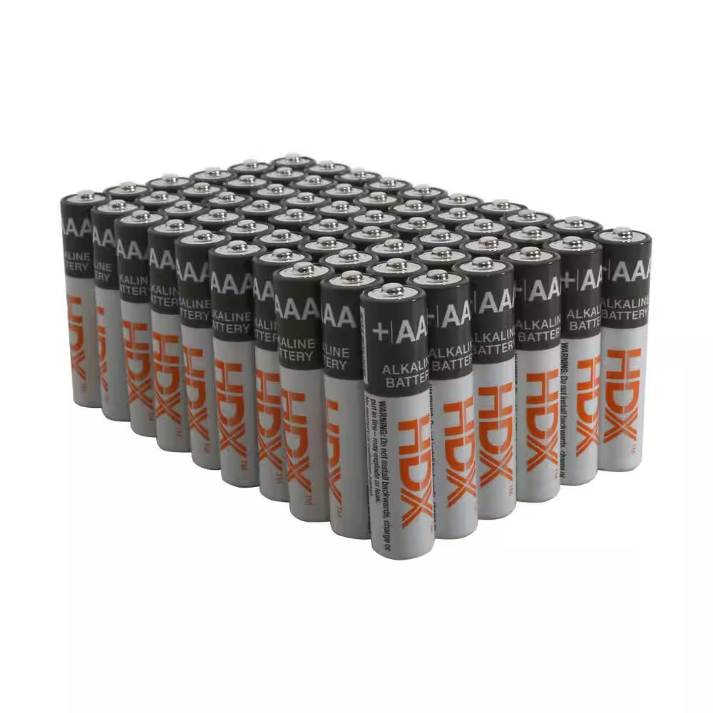 AAA Alkaline Battery (60-Pack)