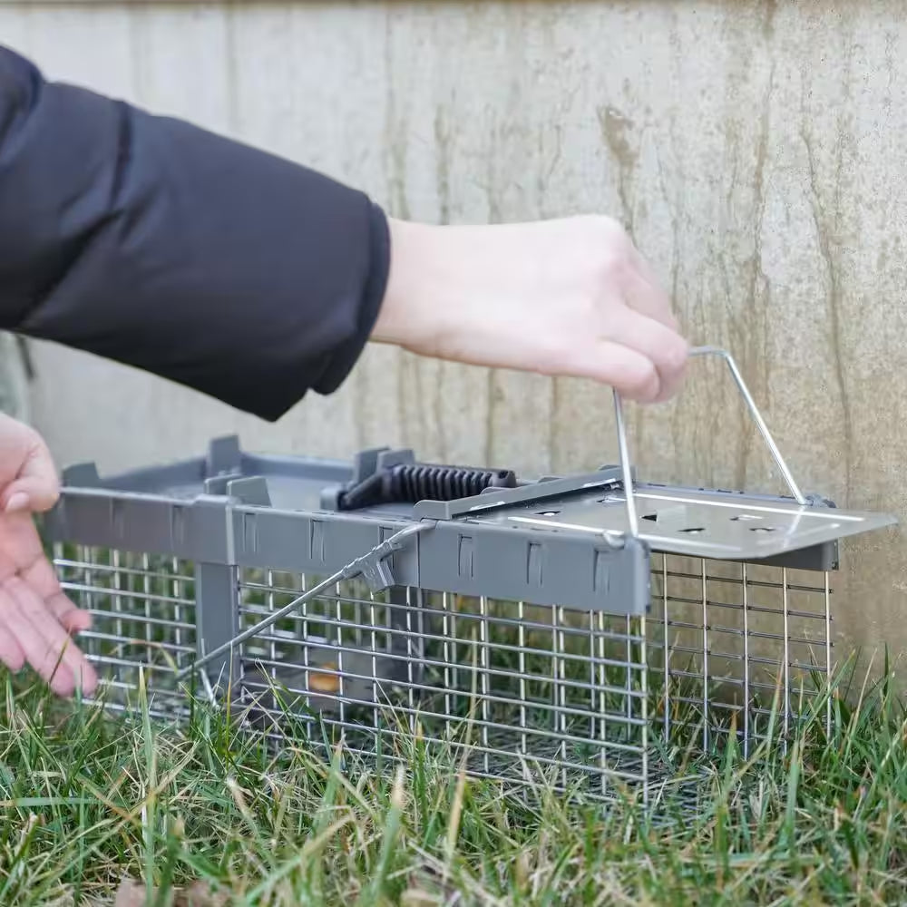 Small 1-Door Humane Catch-And-Release Live Animal Cage Trap for Squirrel, Weasel, Chipmunk