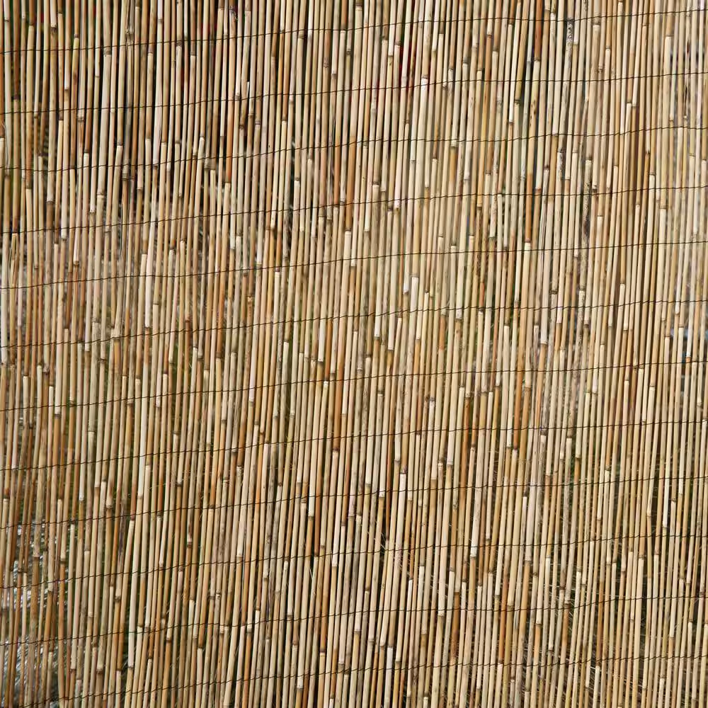 6 Ft. H X 16 Ft. L Natural Jumbo Reed Bamboo Fencing