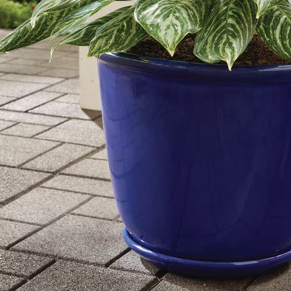 Delphine Large Blue Plastic Planter with Attached Saucer and Drainage Holes (18 In. L X 18 In. W X 15 In. H)