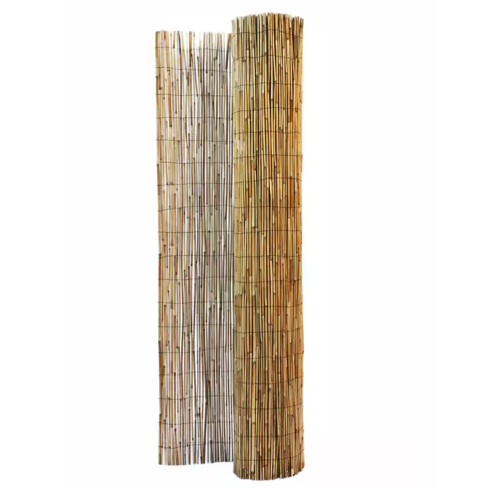 6 Ft. H X 16 Ft. L Natural Jumbo Reed Bamboo Fencing