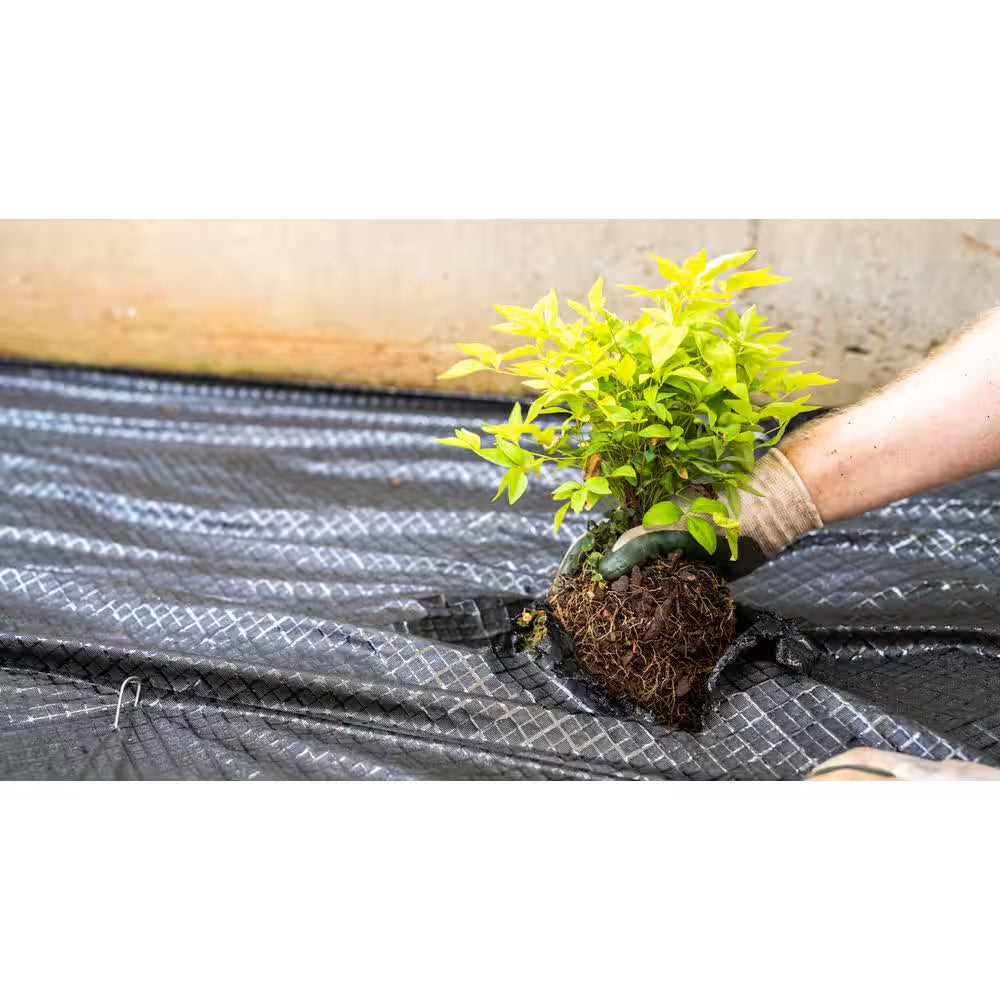 3 Ft. X 50 Ft. Weedblock Weed Barrier Landscape Fabric with Microfunnels